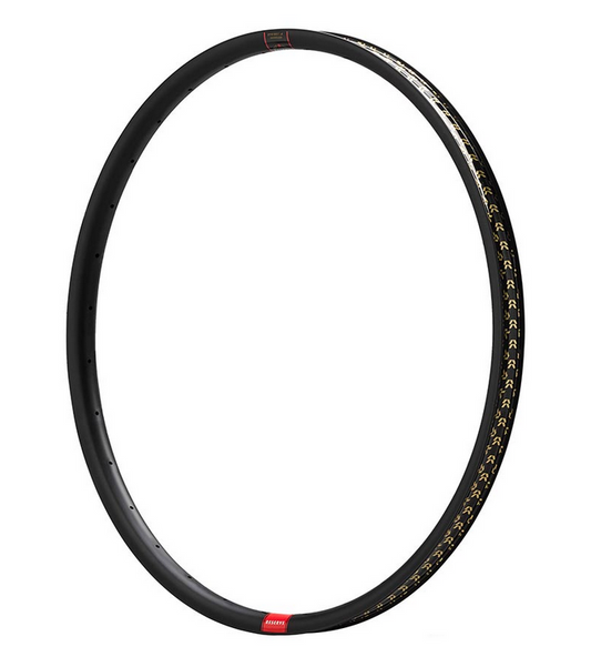 Reserve 30 HD Aluminum 29" Rim