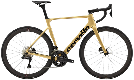 Soloist Ultegra Di2 Gold Dust