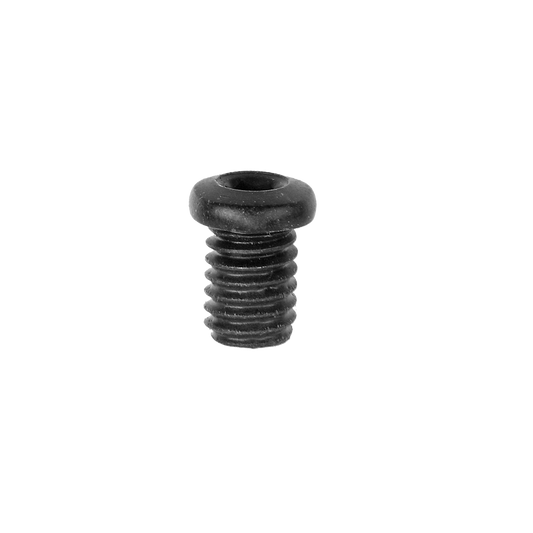 BR-9000 FIXING BOLT (M4X5.5)