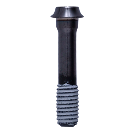 BR-R9110F FIXING BOLT Y (M6 X28.9)